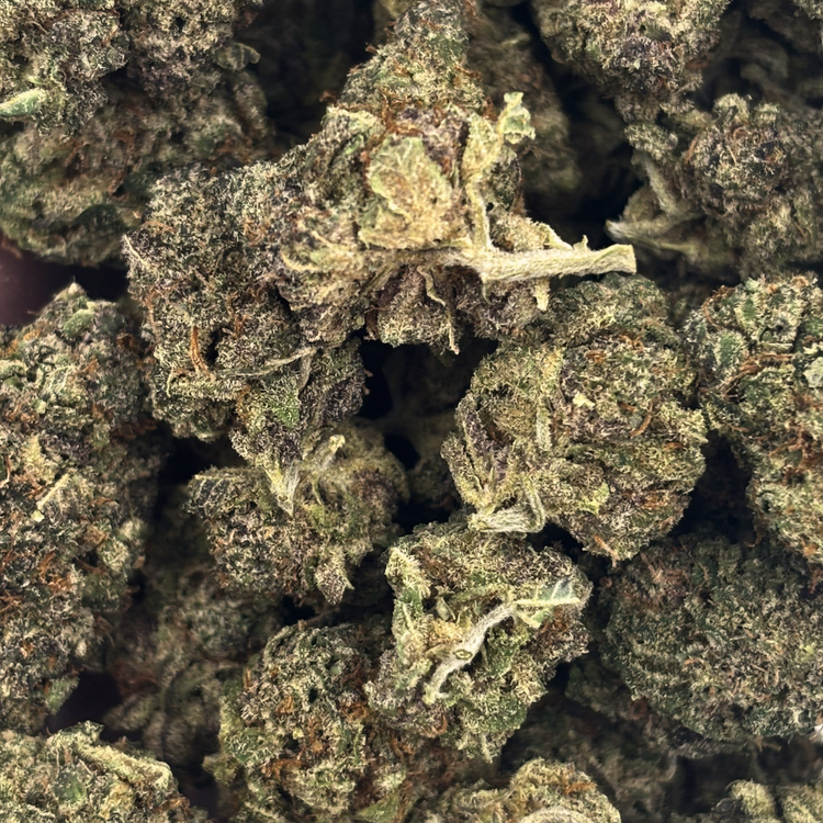 Jungle Mints — 7g // Clearance