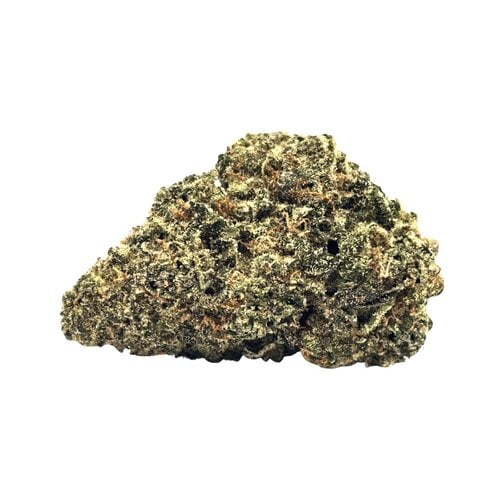 Jungle Mints — 7g // Clearance