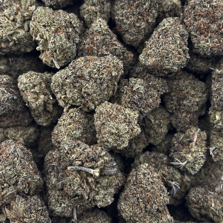 Golden Goat — 7g // Clearance