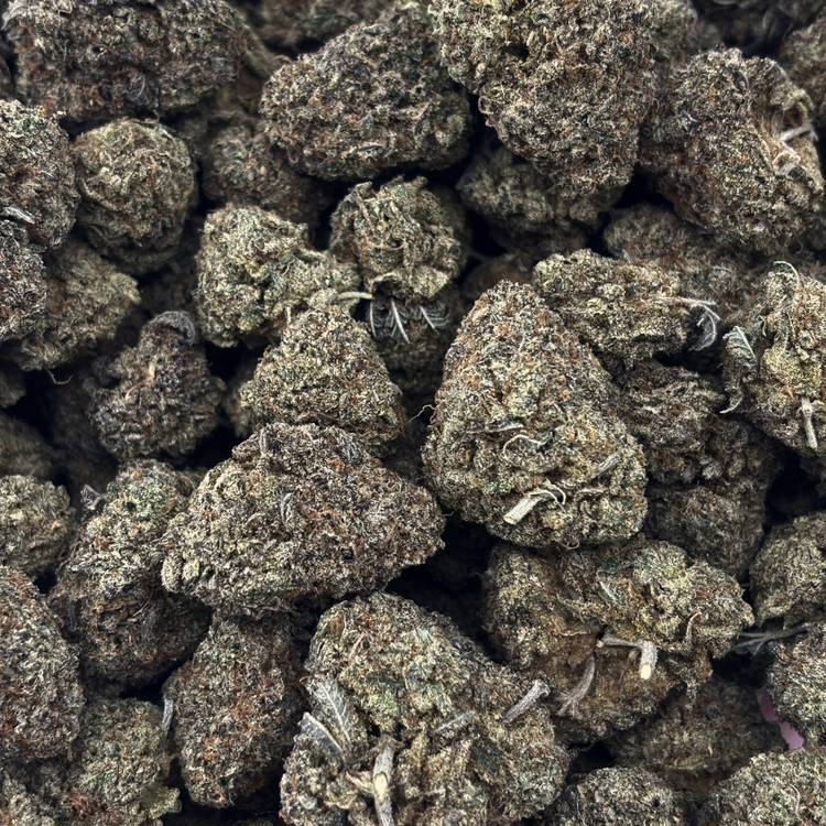Golden Goat — 7g // Clearance