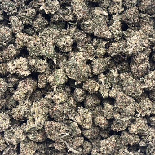 Popcorn MAC — 14g // Clearance (Tier A Popcorn)