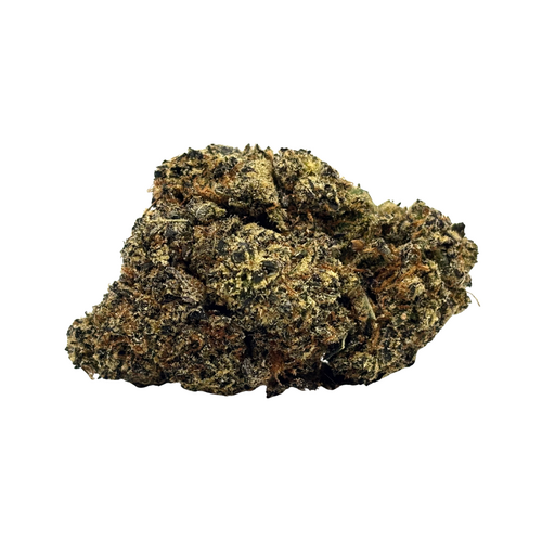 Gelato (Bulk Options)