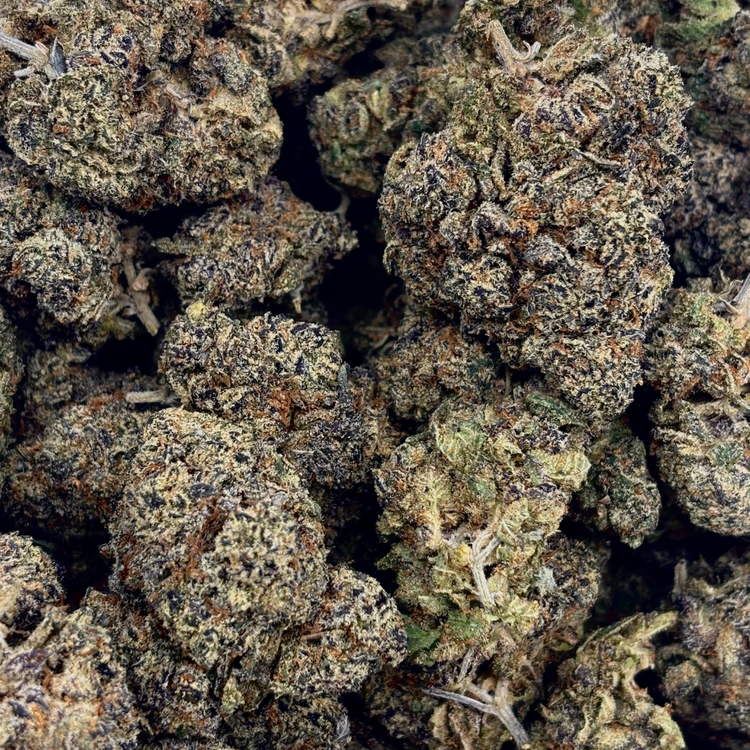 Gelato (Bulk Options)