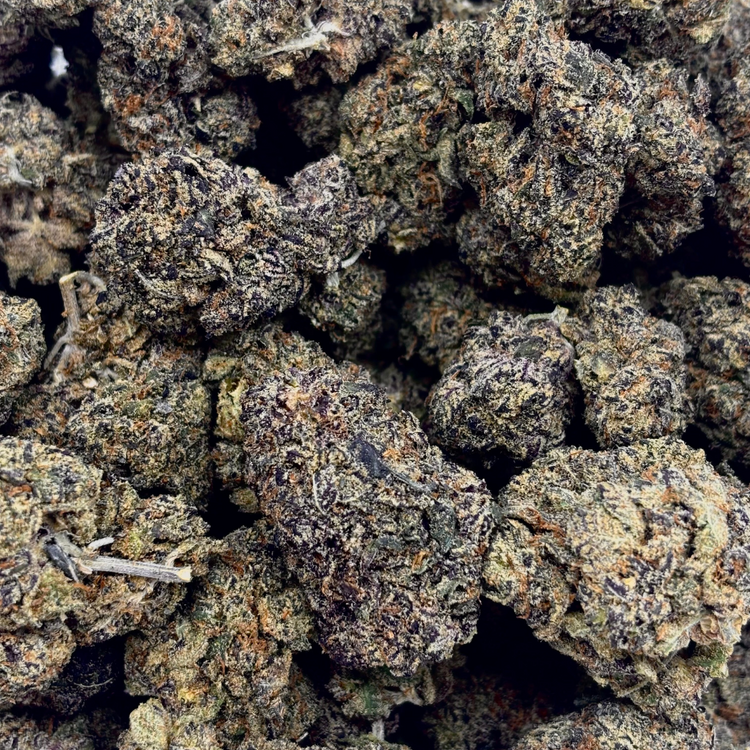 Gelato (Bulk Options)