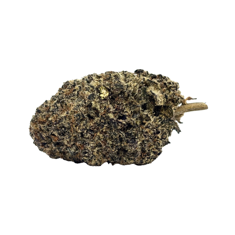 Forbidden Fruit // OZ Special