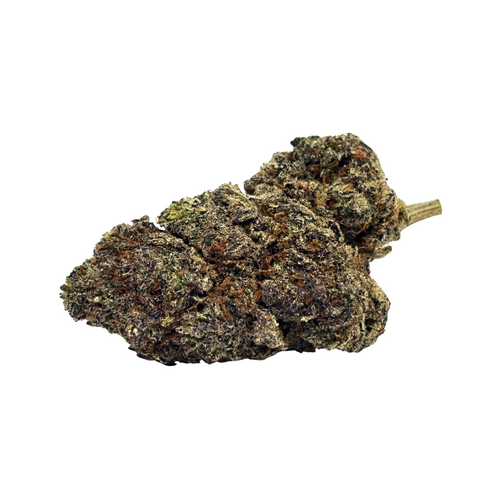 Mendocino Purps // OZ Special