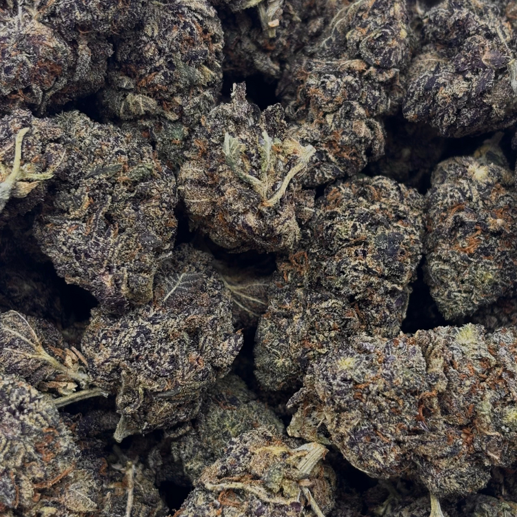 Mendocino Purps // OZ Special