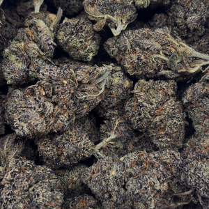 Mendocino Purps // OZ Special