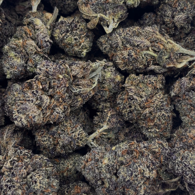 Mendocino Purps // OZ Special