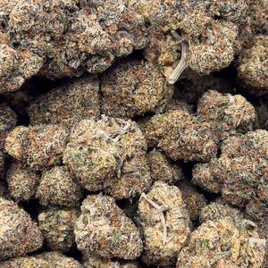 Strawberry Cough // OZ Special