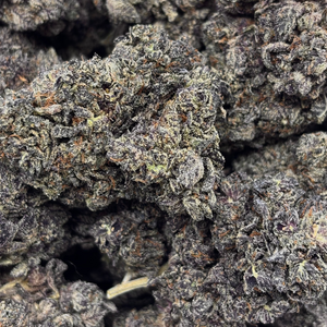 Blueberry Muffin // OZ Special