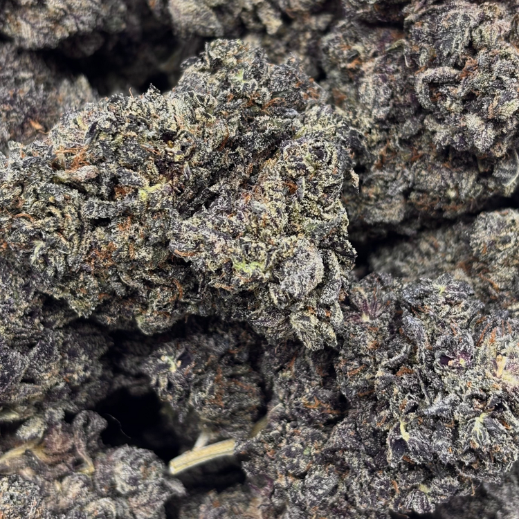 Blueberry Muffin // OZ Special