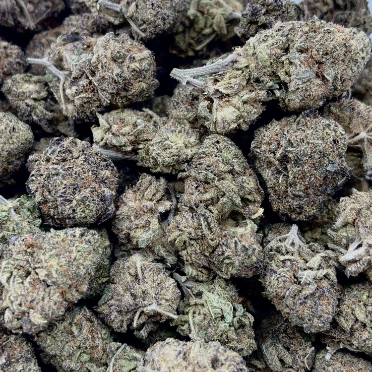 Jack Herer — 14g // Clearance