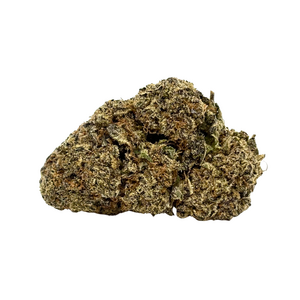 Jack Herer — 7g // Clearance