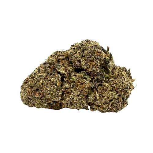 Jack Herer — 7g // Clearance