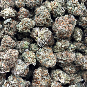 Popcorn Pink Gary // OZ Special (Tier A Popcorn)