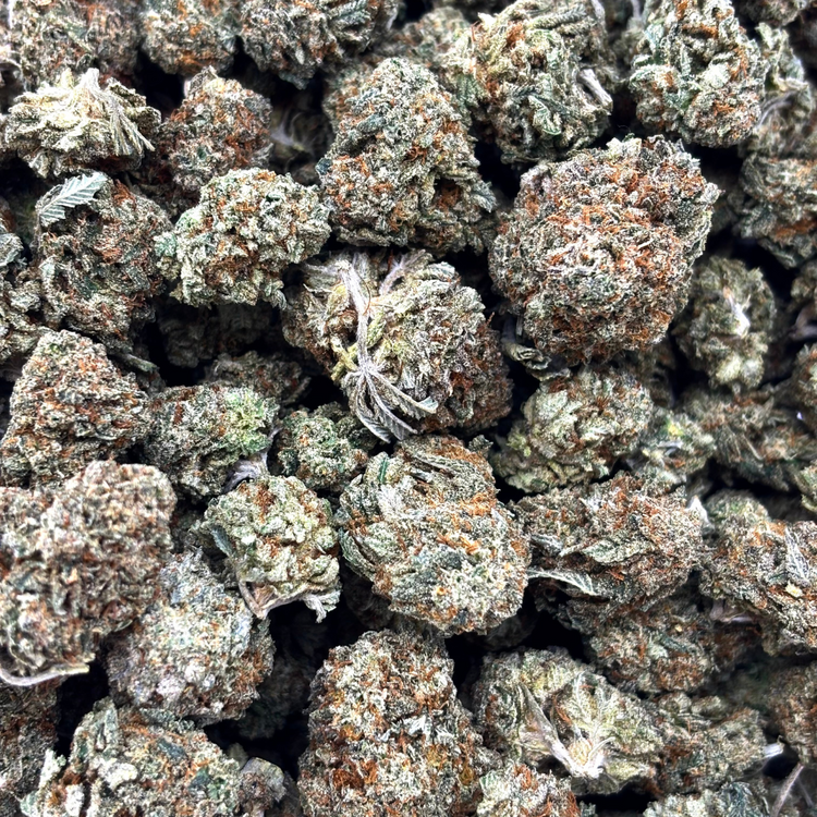 Popcorn Pink Gary // OZ Special (Tier A Popcorn)