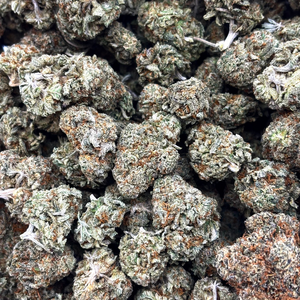 Popcorn Pink Gary // OZ Special (Tier A Popcorn)