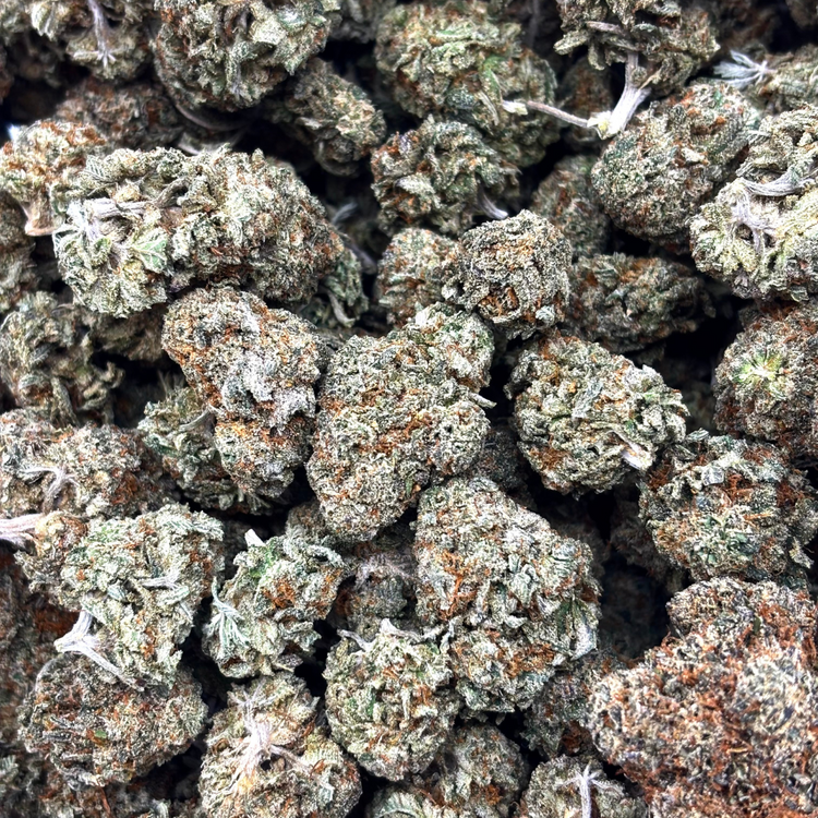 Popcorn Pink Gary // OZ Special (Tier A Popcorn)