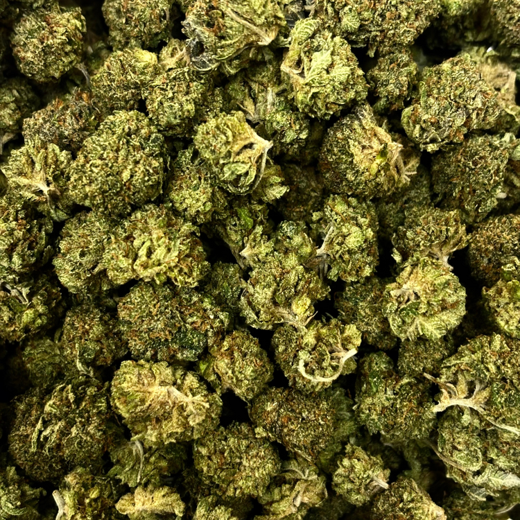 Popcorn Rockstar // OZ Special (Tier A Popcorn)