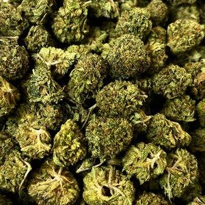 Popcorn Rockstar // OZ Special (Tier A Popcorn)