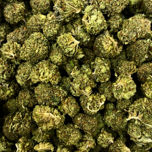 Popcorn Rockstar (Bulk Options)