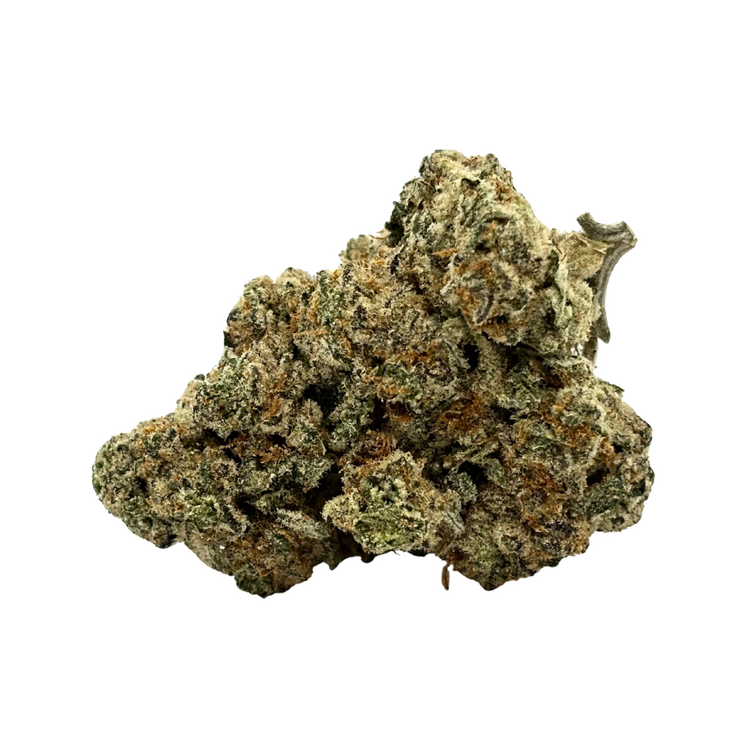 Cream Soda // OZ Special