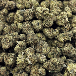 Popcorn Chemdawg // OZ Special