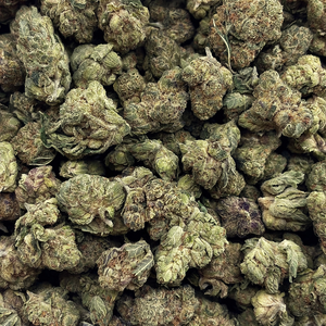 Popcorn Sunset Sherbet // OZ Special