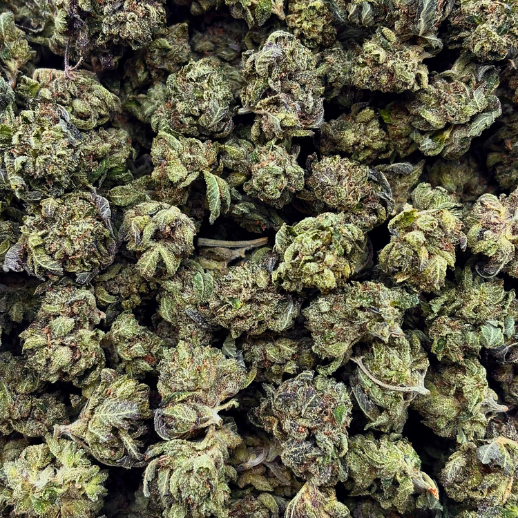 Popcorn Pink Panties // OZ Special