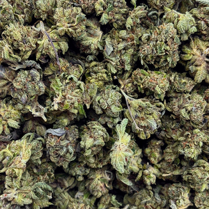 Popcorn Pink Panties // OZ Special