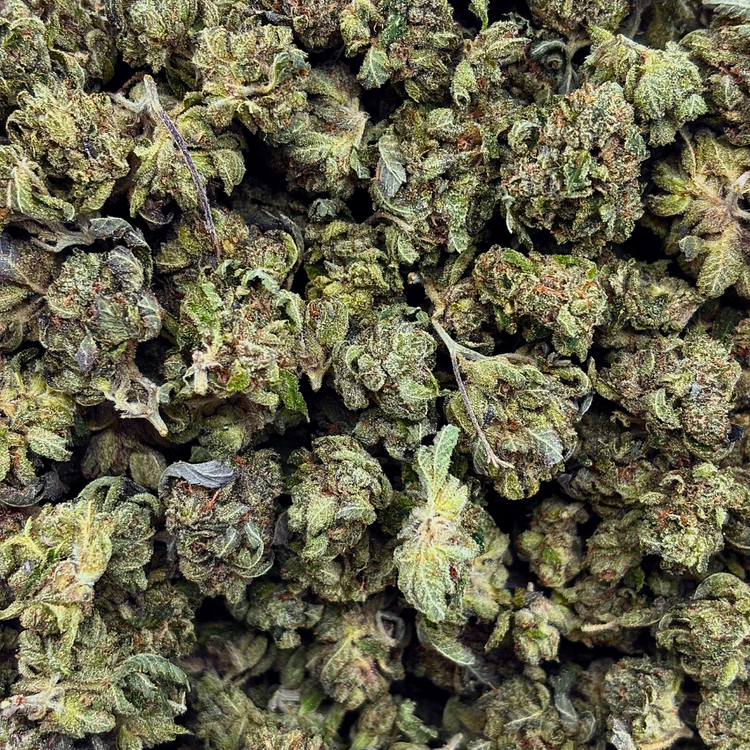 Popcorn Pink Panties // OZ Special