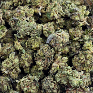 Popcorn Pink Panties // OZ Special