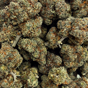 Berry Blast // OZ Special