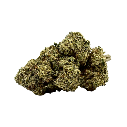 Chocolope — 14g // Clearance