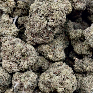 Chocolope — 14g // Clearance