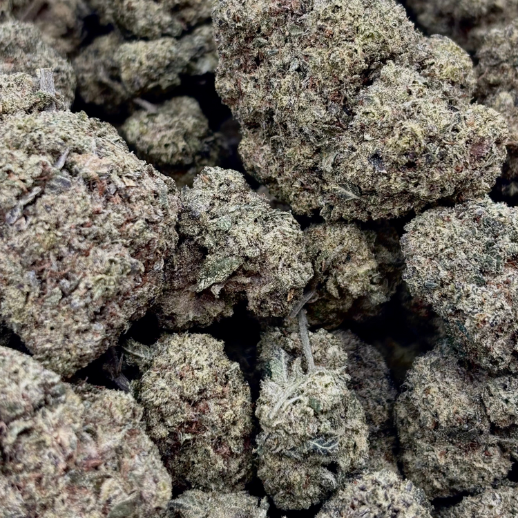 Chocolope — 14g // Clearance