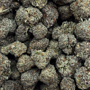 Grape Goddess // OZ Special