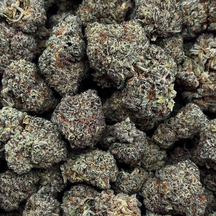 Grape Goddess // OZ Special