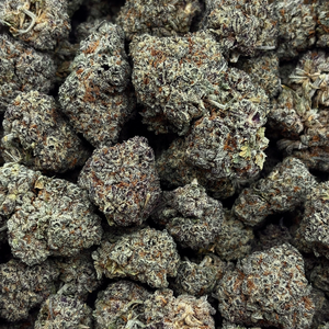 Grape Goddess — 7g // Clearance