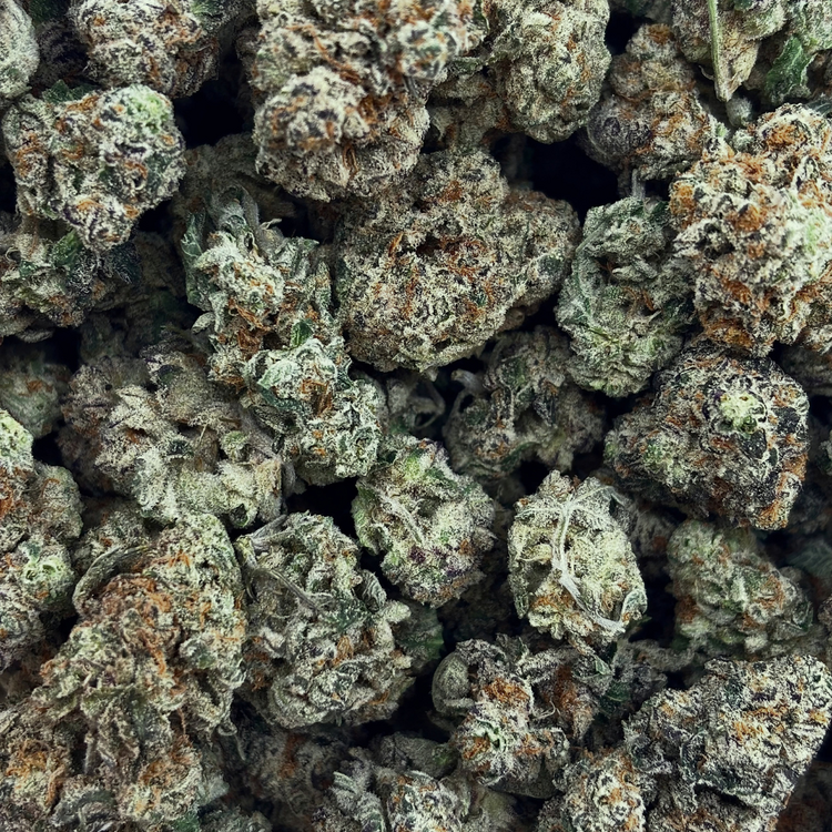 Popcorn Cream Soda // OZ Special (Tier A Popcorn)