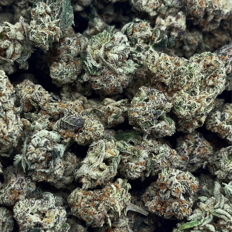 Popcorn Cream Soda // OZ Special (Tier A Popcorn)