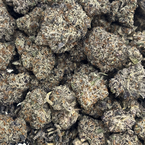 Biscotti — 7g // Clearance