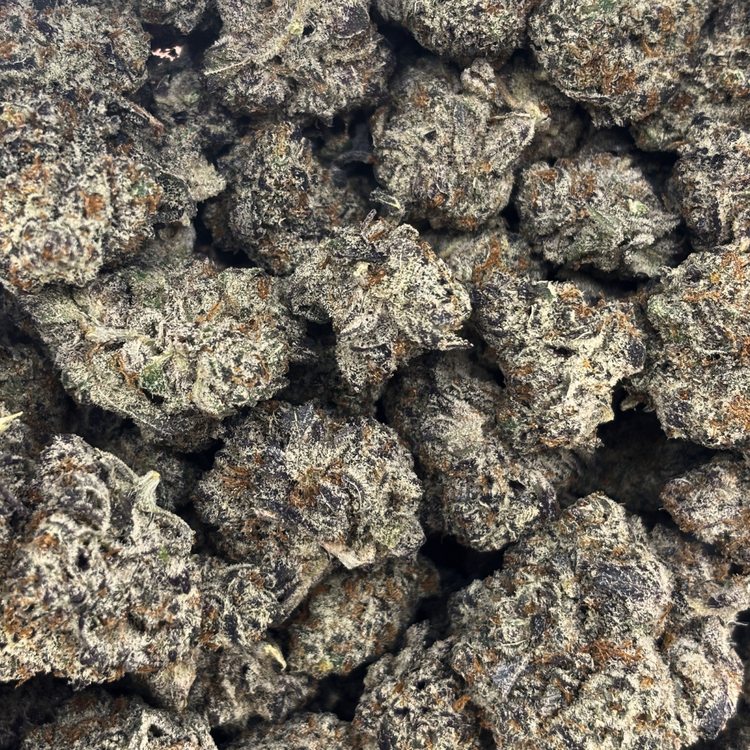 Biscotti — 7g // Clearance