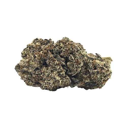 Biscotti — 7g // Clearance