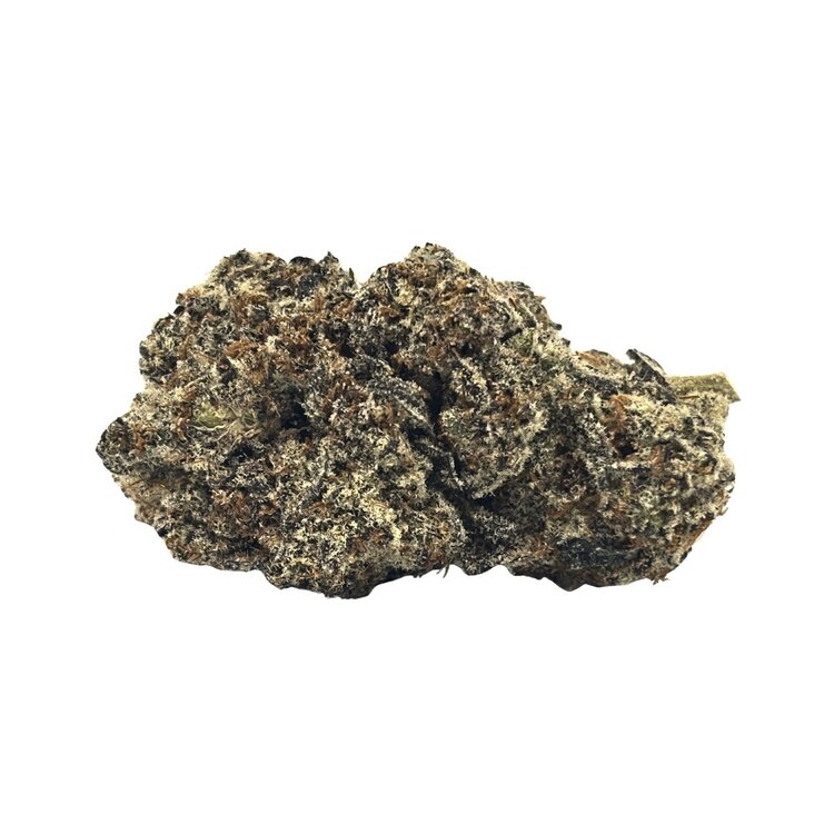 Biscotti — 7g // Clearance