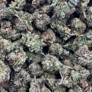 Popcorn MKU // OZ Special (Tier A Popcorn)