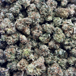 Popcorn MKU // OZ Special (Tier A Popcorn)