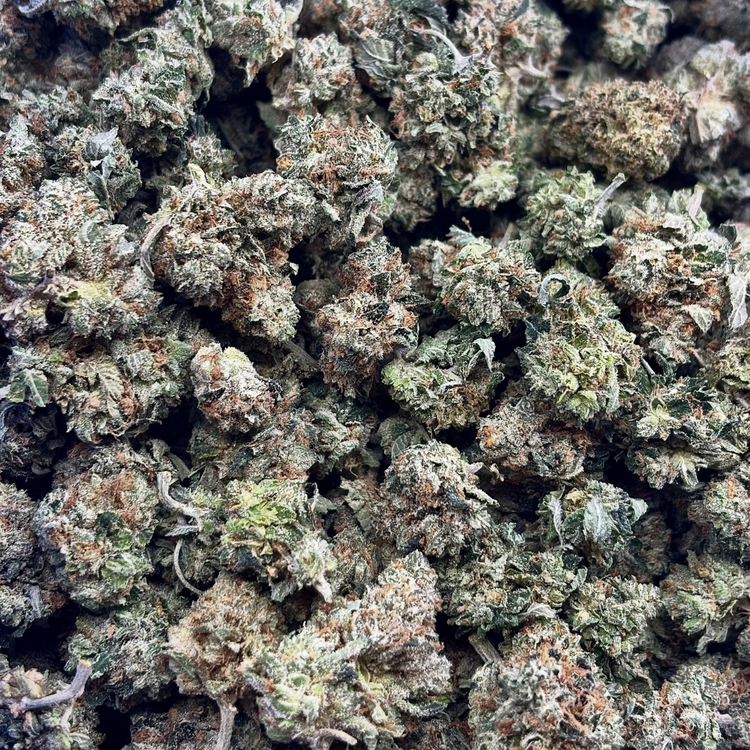 Popcorn MKU // OZ Special (Tier A Popcorn)