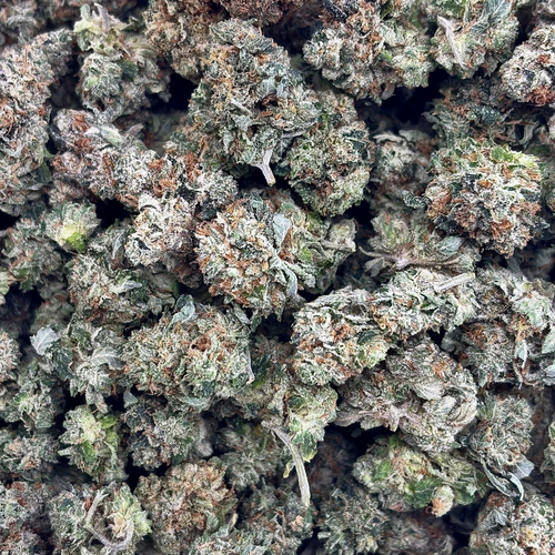 Popcorn MKU (Bulk Options)